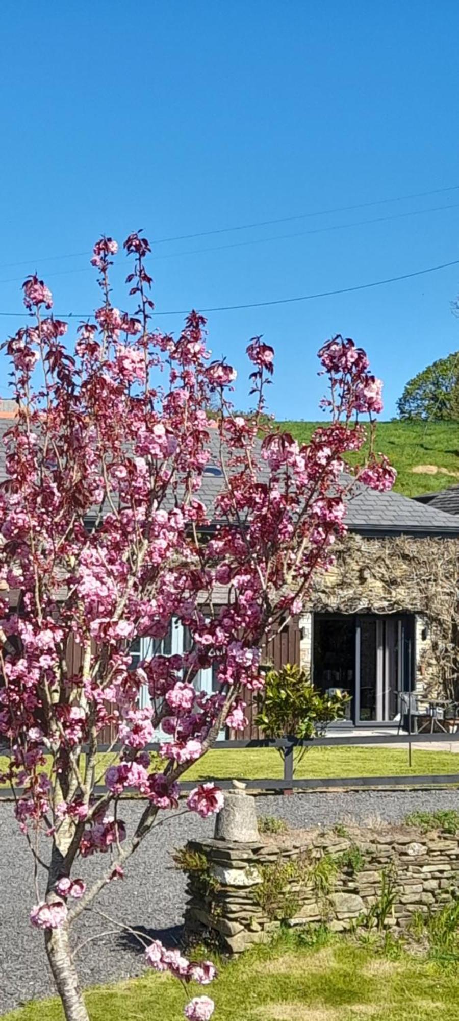 Wisteria Barn, Trewethen, St Teath, Nr Port Isaac Villa Saint Teath Bagian luar foto